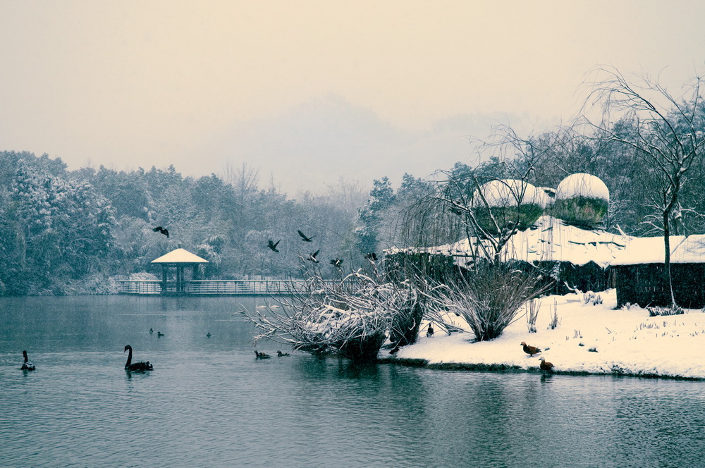 静湖冬景